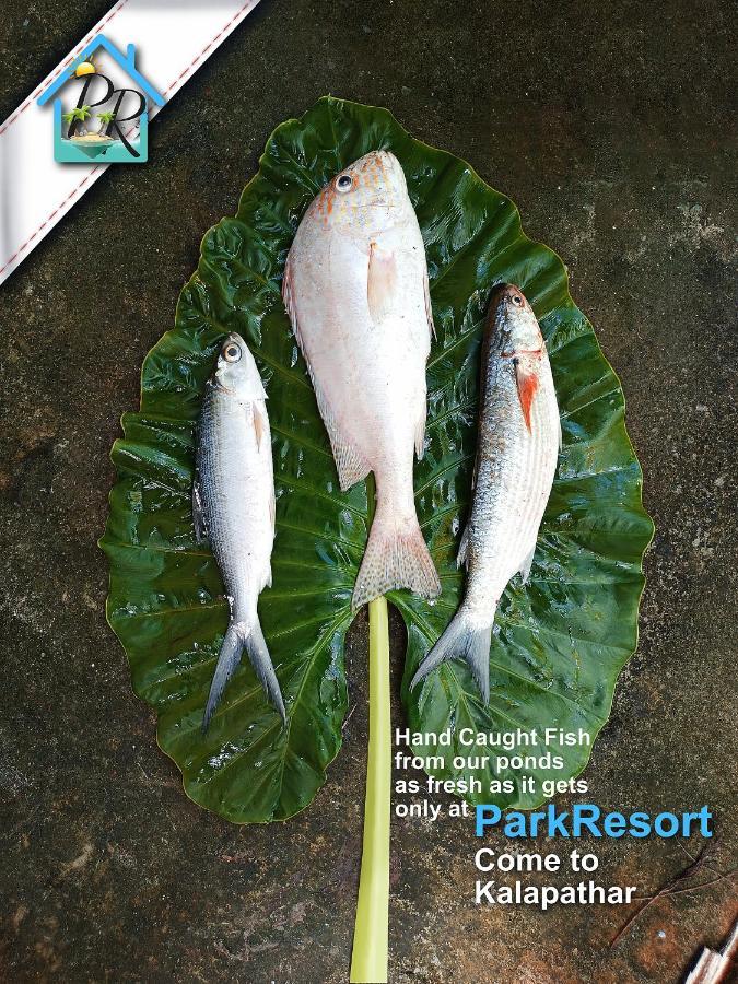 ParkResort - Organic Farm Resort Kala Pathar Beach Exterior foto