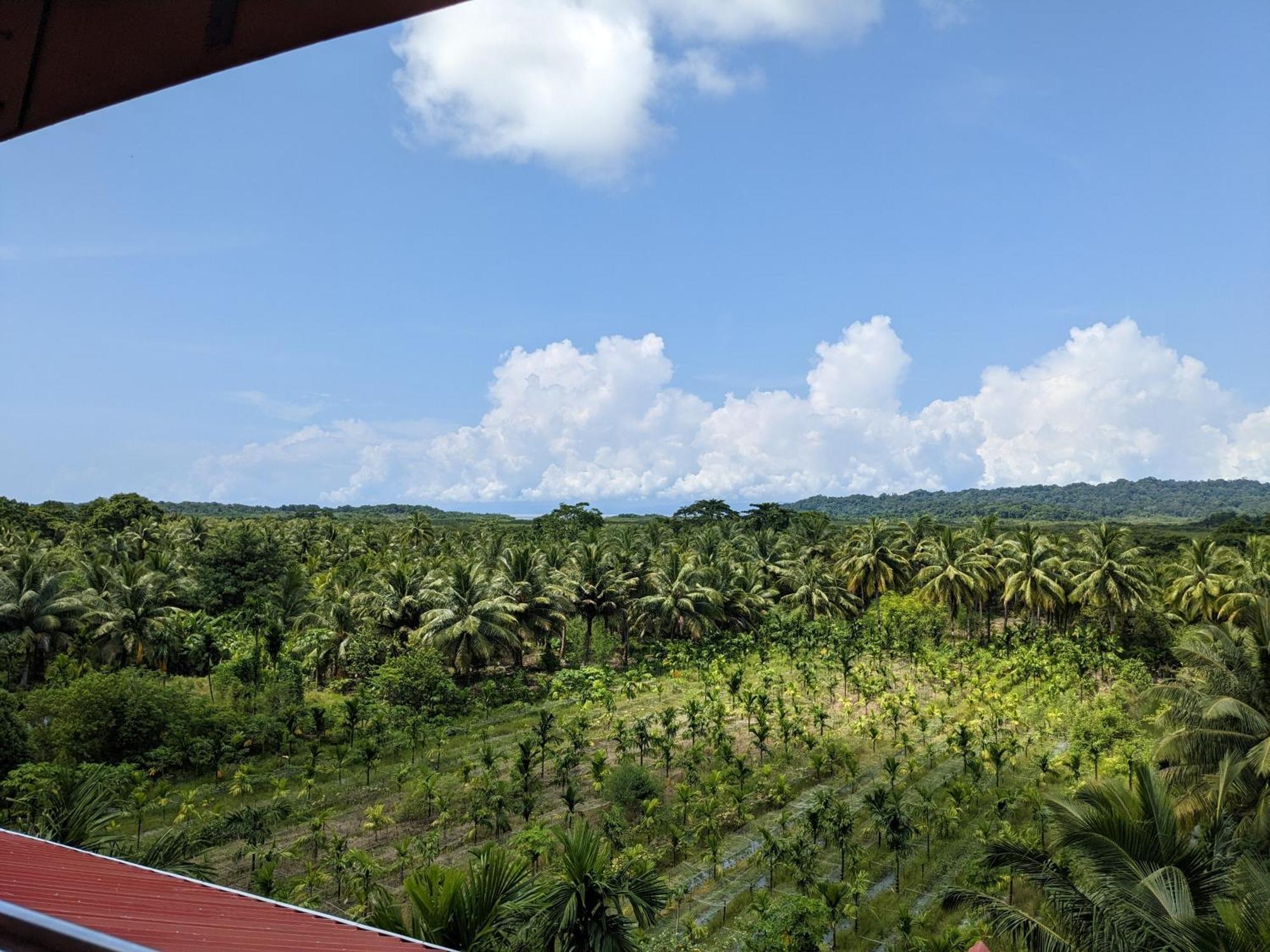ParkResort - Organic Farm Resort Kala Pathar Beach Exterior foto